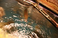 田舎や 徳膳の画像