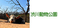 賞品画像