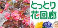 賞品画像