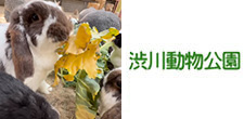 賞品画像