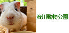 賞品画像