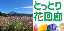 賞品画像