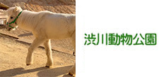 賞品画像