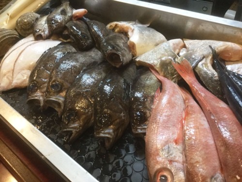 炉ばた焼 佑明次のニュース 旬の春の魚介類が入荷しました Donbla ドンブラ 炉ばた焼 佑明次のニュース 旬の春の魚介類が入荷しました Donbla ドンブラ