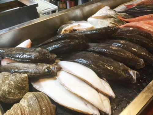 炉ばた焼 佑明次のニュース 旬の春の魚介類が入荷しました Donbla ドンブラ 炉ばた焼 佑明次のニュース 旬の春の魚介類が入荷しました Donbla ドンブラ