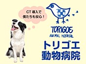 トリゴエ動物病院