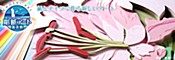 彫紙アート 新倉敷