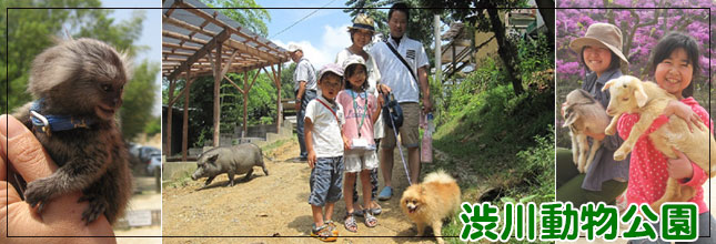 渋川動物公園