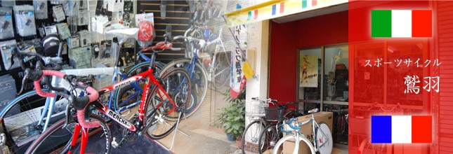スポーツサイクル 鷲羽