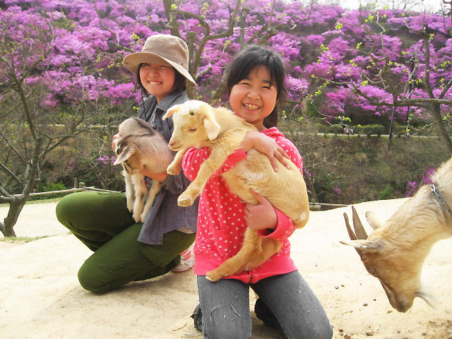 渋川動物公園のおすすめ