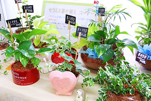 宮原生花店のおすすめ