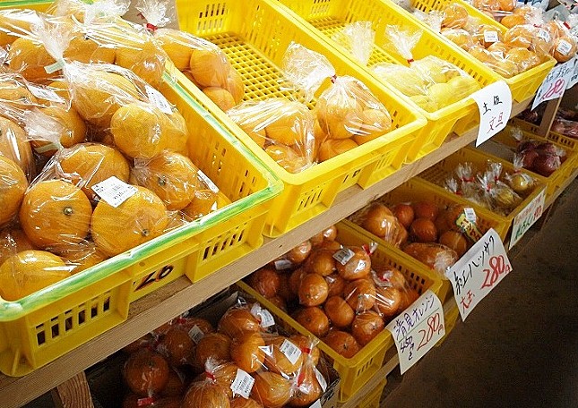 ぼっけぇ市場 生産者直売所のおすすめ