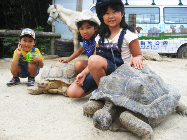 渋川動物公園のおすすめ