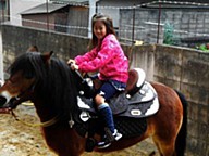 池田動物園のおすすめ