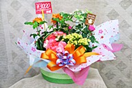 宮原生花店のおすすめ