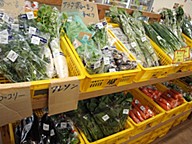 ぼっけぇ市場 生産者直売所のおすすめ