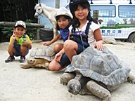 渋川動物公園のおすすめ