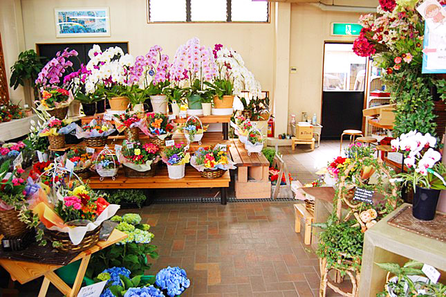 宮原生花店の画像