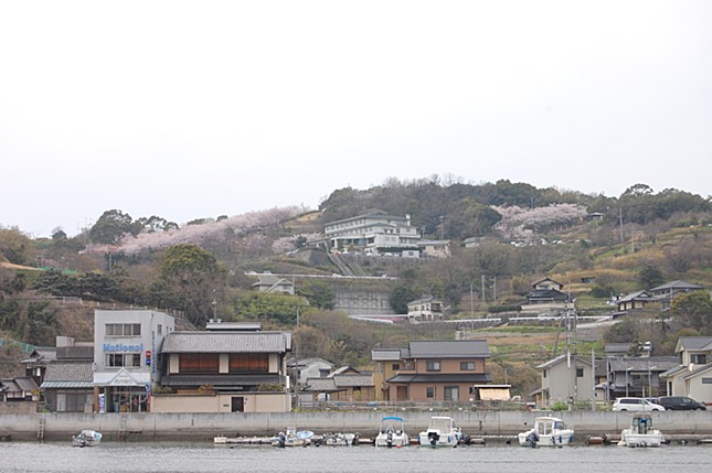 国民宿舎 良寛荘の画像