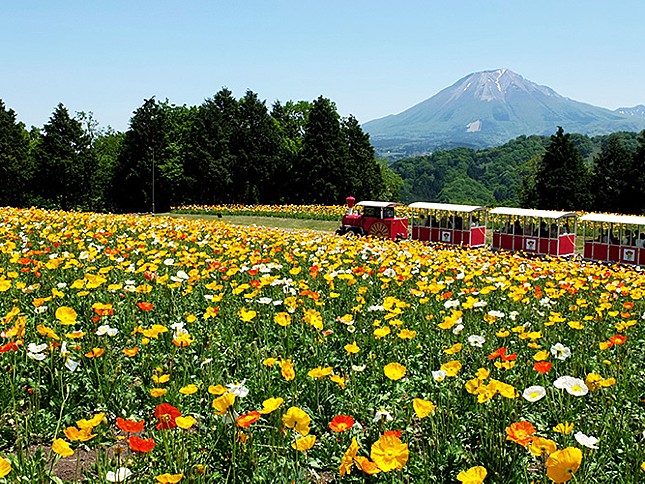 とっとり花回廊の画像