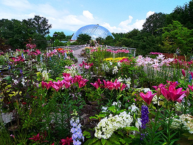 とっとり花回廊の画像