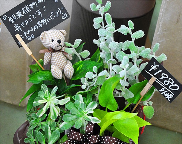 宮原生花店の画像
